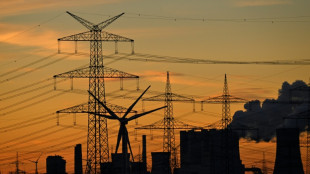 IMF urges Germany to enact 'pro-growth' reforms