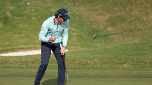 Schenk wins windy Bermuda Championship for first PGA title