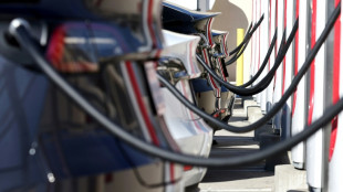 Vor allem wegen Deutschland: E-Auto-Verk&auml;ufe in der EU schw&auml;cheln weiterhin
