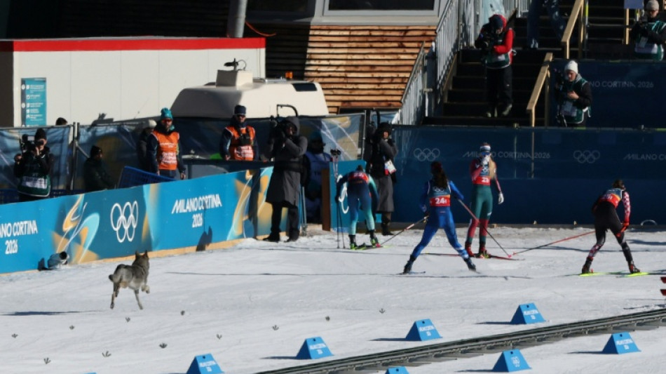 Dog gives Olympics organisers paws for thought