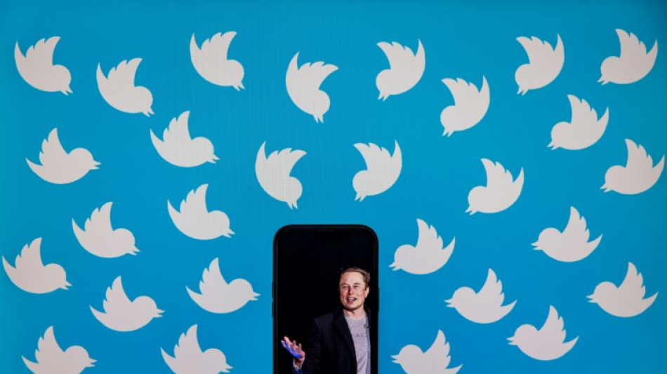 Musk l&auml;sst Twitter-Nutzer &uuml;ber seinen Chefposten abstimmen