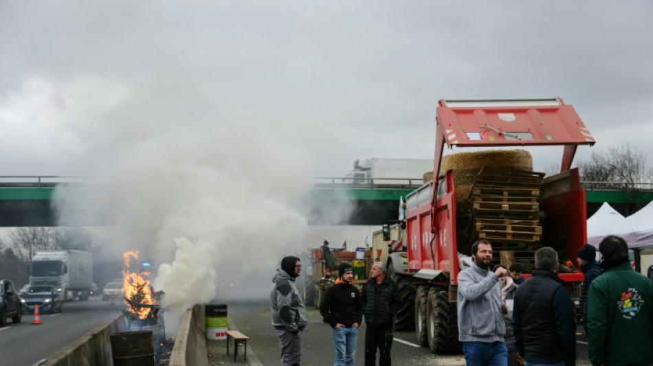 Cerveja e queijo aquecem os &acirc;nimos dos agricultores que cercam Paris