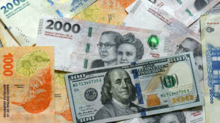 L'Argentine obtient 42 milliards des institutions financières internationales