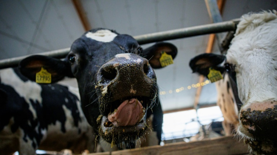 Erzeugerpreise f&uuml;r landwirtschaftliche Produkte im August wieder r&uuml;ckl&auml;ufig