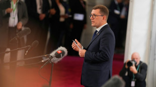 Estonia dice que las incursiones a&eacute;reas de Rusia buscan "distraer" a la UE de Ucrania