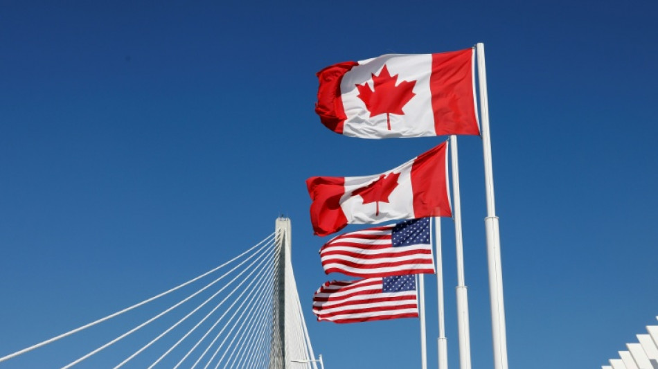 Un importador de alimentos de EEUU busca anular los aranceles de Trump a Canad&aacute;