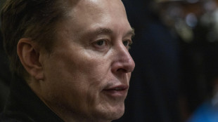 Musk esulta per la nuova città di Starbase, 'nata con una vanga'
