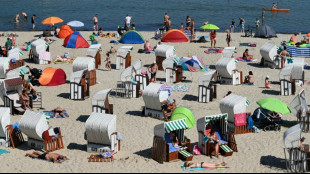Zahl der Inlandsreisen 2025 auf neuem Rekord - Zahl der Auslandreisen gesunken