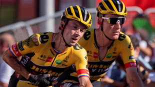 Tour d'Espagne: Roglic, triple tenant du titre, abandonne apr&egrave;s sa chute de mardi