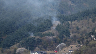Hundreds of firefighters battle Japan forest blazes