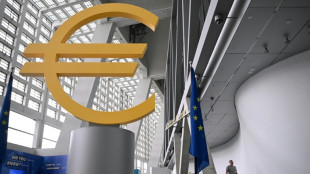 La BCE vers une pause estivale sur les taux, à l'affut des surtaxes américaines 