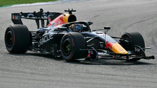 GP de Bahre&iuml;n en Malaisie: Verstappen (Red Bull) s'&eacute;lancera juste devant Hamilton (Ferrari)