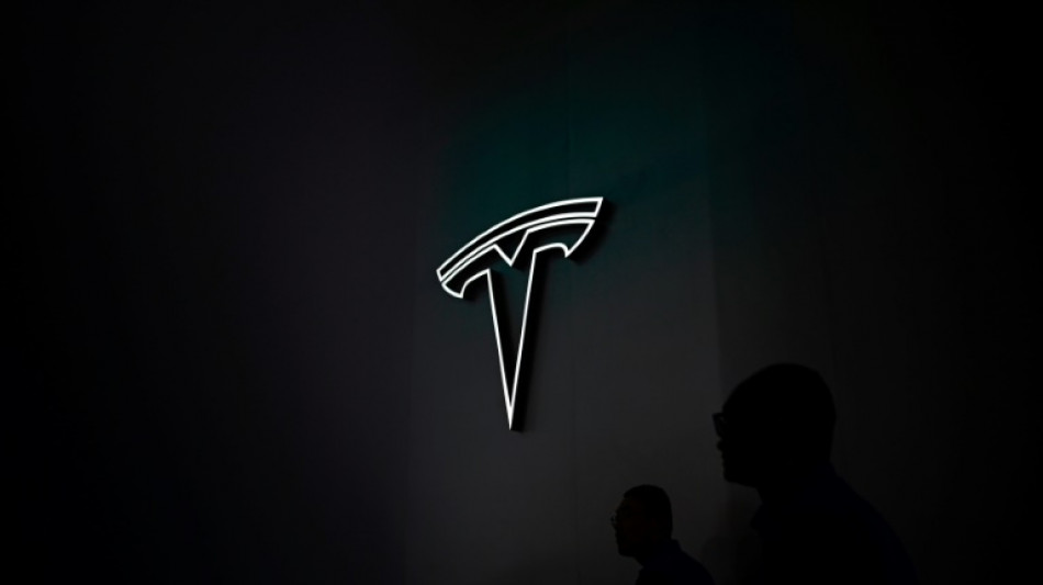Tesla entt&auml;uscht im vierten Quartal - 2024 weniger Wachstum erwartet