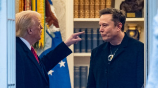 Elon Musk sagt mit Gründung von eigener Partei Trump den Kampf an