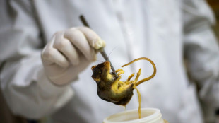 Canada cruise passenger 'presumptive positive' for hantavirus