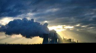 Studie: Weltweite CO2-Emissionen werden 2024 neuen Rekordwert erreichen
