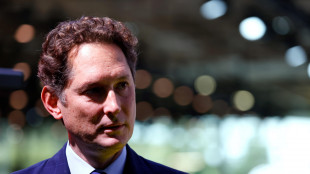 Elkann, '2024 deludente per Stellantis, ad entro metà 2025'