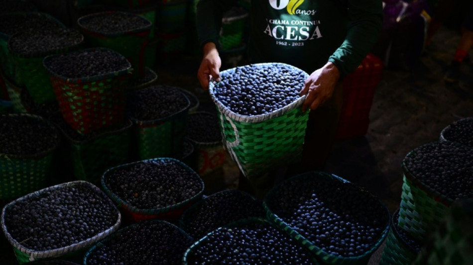 Brazil declares acai a national fruit to ward off 'biopiracy'