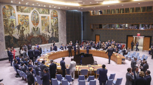 Cina e Russia bloccano la risoluzione all'Onu sulla sicurezza di Hormuz