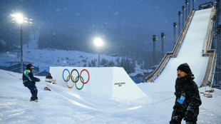 Italia afirma que desbarat&oacute; ciberataques rusos contra los JJOO de Invierno