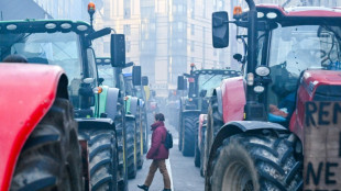 EU-Agrarminister beraten &uuml;ber Erleichterungen f&uuml;r Bauern