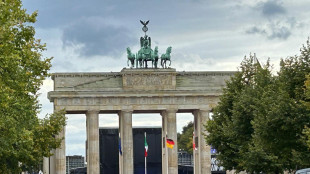Germania, il Pil cresce dello 0,2% nel secondo trimestre
