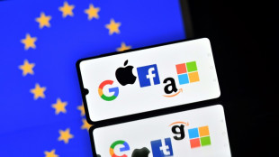 Neue EU-Regeln f&uuml;r gro&szlig;e Digitalkonzerne treten in Kraft