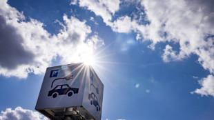 Autoverband fordert mehr &ouml;ffentliche Lades&auml;ulen in der EU 