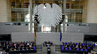 AfD nominiert Kandidaten für Ausschussvorsitz - Scheitern bei Wahl wahrscheinlich