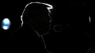 Wei&szlig;es Haus ver&ouml;ffentlicht manipuliertes Bild von festgenommener Demonstrantin