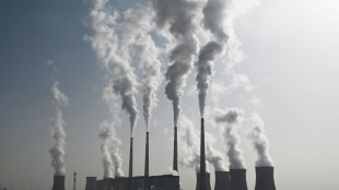 Climat: encore des projets de nouvelles centrales à charbon dans 34 pays, dont la Chine