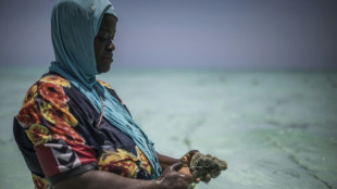 Zanzibar women turn to sponge farming as oceans heat up