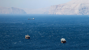 Ue, 'non ci sono rischi per forniture petrolio ad aprile ma impatto sui prezzi'