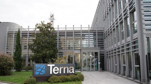 Terna, open call su cambiamenti clima e resilienza di rete