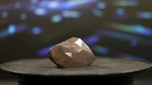 Black diamond, largest ever cut, sells for &pound;3.2 million