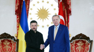 Selenskyj und Erdogan beraten in Istanbul &uuml;ber Ukraine-Krieg und Energiesicherheit