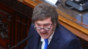 Milei strebt "Neugestaltung" Argentiniens mit 90 Reformen an