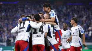 Hamburgo retorna à 1ª divisão do Campeonato Alemão após 7 anos