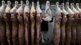 Meat-loving Argentines shun beef as inflation bites