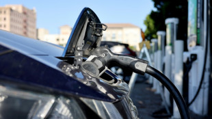 California intervendr&aacute; si Trump elimina incentivos fiscales a veh&iacute;culos el&eacute;ctricos