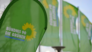 Gr&uuml;ne: Wort "Reform" hat Potenzial zum Unwort des Jahres