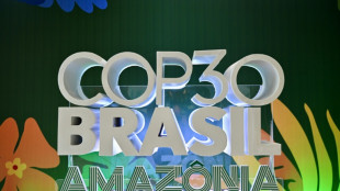 Anfitrião da COP30, Brasil ostenta balanço positivo em matéria climática