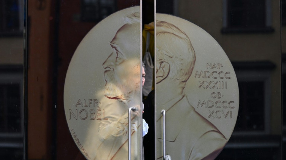 2024 Nobel Peace Prize, a plea in favour of world order?
