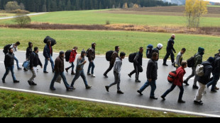 Ein F&uuml;nftel mehr Einb&uuml;rgerungen in vergangenem Jahr
