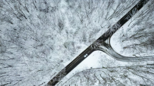 Polizei folgt Fu&szlig;spuren kilometerweit - Festnahme von Einbrechern in verschneitem Wald
