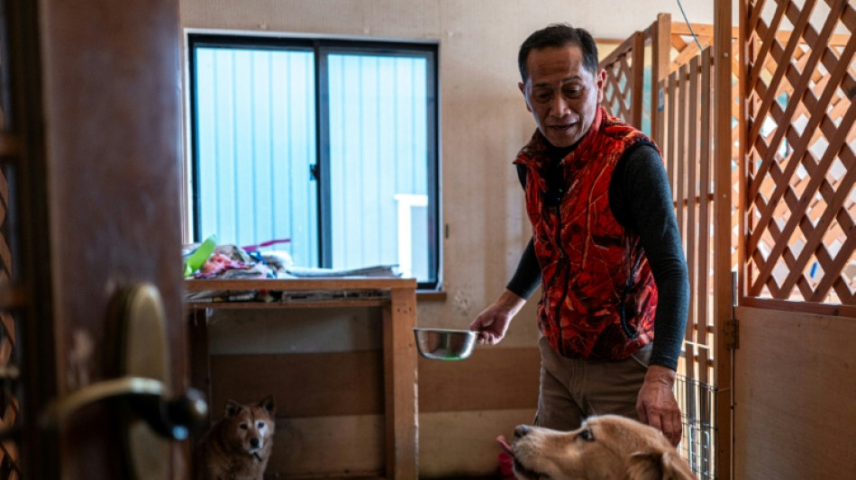 Former Fukushima worker devotes life to abandoned pets