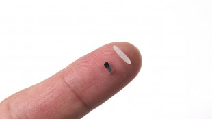 Messo a punto un pacemaker più piccolo di un chicco di riso