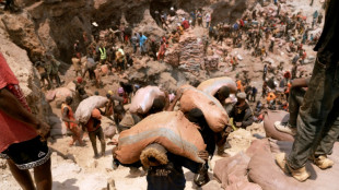 Climat: des experts de l'ONU pr&ocirc;nent un syst&egrave;me de tra&ccedil;abilit&eacute; des minerais critiques