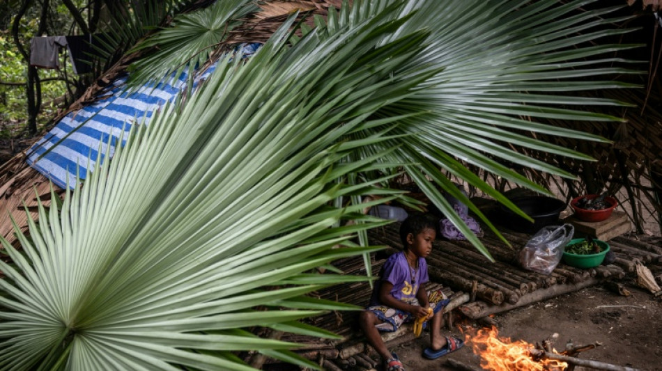Les derniers chasseurs-cueilleurs de Tha&iuml;lande revendiquent leur droit aux terres