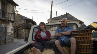 Buen Camino di Zalone e Nunziante sfiora i 14 milioni di euro in 2 giorni